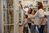 Famille et guide face à une vitrine présentant un squelette 