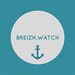 Lien vers le site Breizh Watch