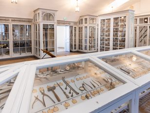 multiple display cases containing various medical object 