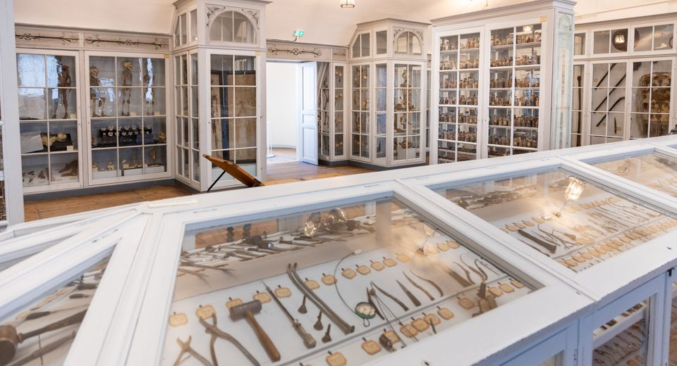 multiple display cases containing various medical object 