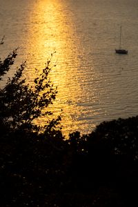 Coucher de soleil sur la mer, reflets dorés sur l'eau, silhouette de feuillage au premier plan.