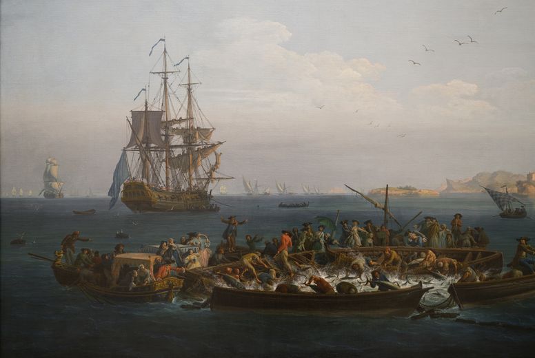 Scène animée de pêche à la madrague au XVIIIe siècle, avec des embarcations pleines de pêcheurs tirant des filets chargés de thons, sous le regard de spectateurs en habits d’époque, dans un port méditerranéen dominé par un grand voilier de guerre.