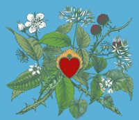 Affiche du festival Grande Marée 2025 à Brest et sa région, illustrée de fleurs et feuillages avec un cœur rouge flamboyant au centre, dates du 13 au 28 novembre 2025.