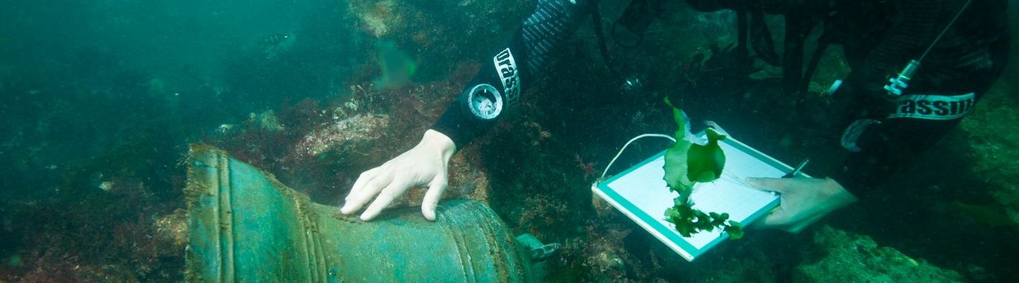 Archéologue plongeur étudiant une cloche de navire sur un site sous-marin, relevé d’observations lors d’une fouille archéologique subaquatique