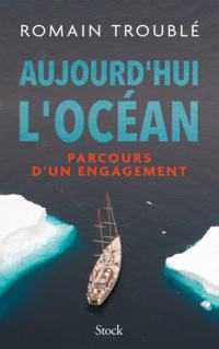 couverture du livre avec un navire entre deux iceberg