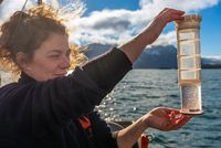 Chercheuse à bord de la goélette Persévérance tenant un échantillon d’eau prélevé en mer pour analyse scientifique.