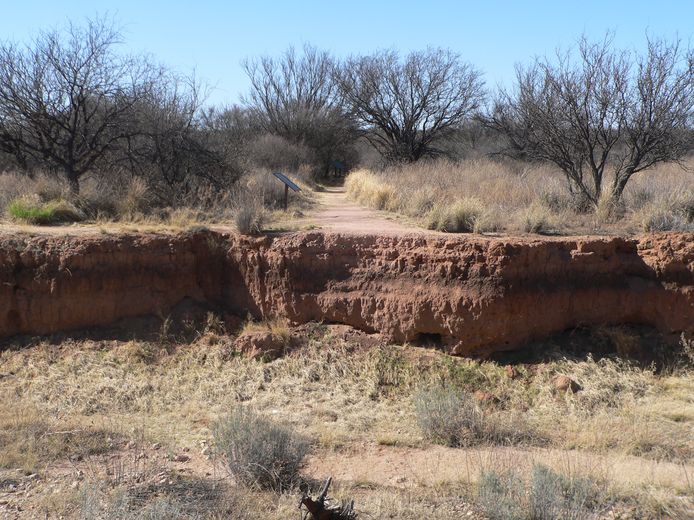 Photographie d’un talus d’érosion dans une plaine aride, montrant une coupe de sol rougeâtre au premier plan, avec une végétation sèche et des arbustes clairsemés sous un ciel bleu.  