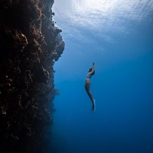 Une apnéiste en combinaison nage en pleine eau le long d'une paroi rocheuse verticale, en silhouette, la surface éclairée visible au-dessus d'elle.