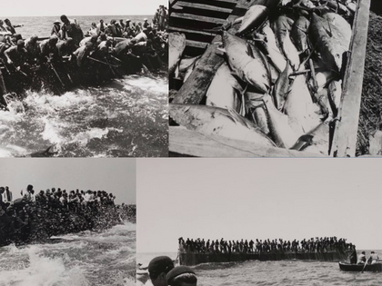En immersion : découvrez notre série vidéo autour de l'exposition "La pêche au-delà du cliché"