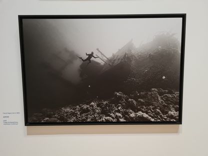 Photographie « ABYSS » de Franck Seguin (2025, tirage photographique), en noir et blanc : un apnéiste nage au-dessus d'une épave engloutie recouverte de coraux, dans une eau trouble.