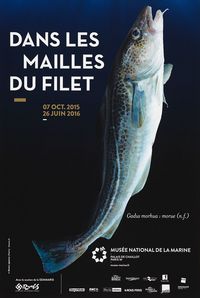 Une morue se détache sur un fond sombre