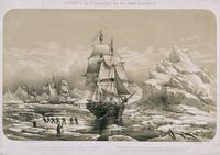 19th-century lithograph showing the ship Prince Albert and two American schooners trapped in Arctic ice during expeditions in search of the Northwest Passage.