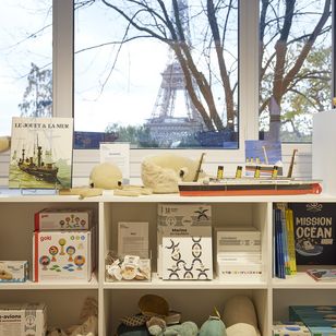 Vue des étagères de livre pour enfant avec la tour eiffel en arrière plan