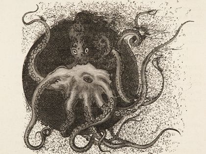 Monstres marins, trous bleus et pieuvres géantes : l’imaginaire des fonds marins