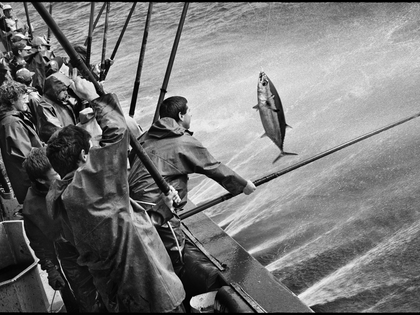 « 20 000 lieues sur la mer » : Polka Magazine embarque avec Jean Gaumy au musée de la Marine