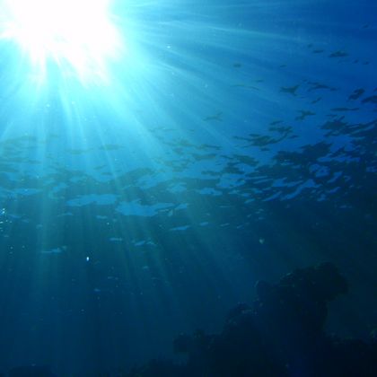 Profondeurs : explorer le monde sous les mers