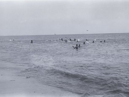 Qui sont les Imraguens, derniers pêcheurs du désert longtemps alliés aux dauphins ?