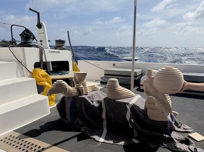 Sculptures en bois aux formes organiques posées sur le pont du catamaran We Explore, avec l’océan en arrière-plan.