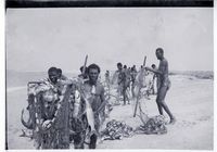 Pêcheurs Imraguens sur la plage, posant avec leurs filets chargés de poissons après une pêche traditionnelle pratiquée avec l’aide des dauphins, sur la côte mauritanienne.