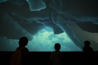 Enfant devant une vidéo immersive de glacier