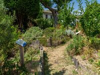 Chemin sinueux traversant le jardin botanique de l’École de médecine navale de Rochefort, entouré de plantes médicinales et d’arbustes.