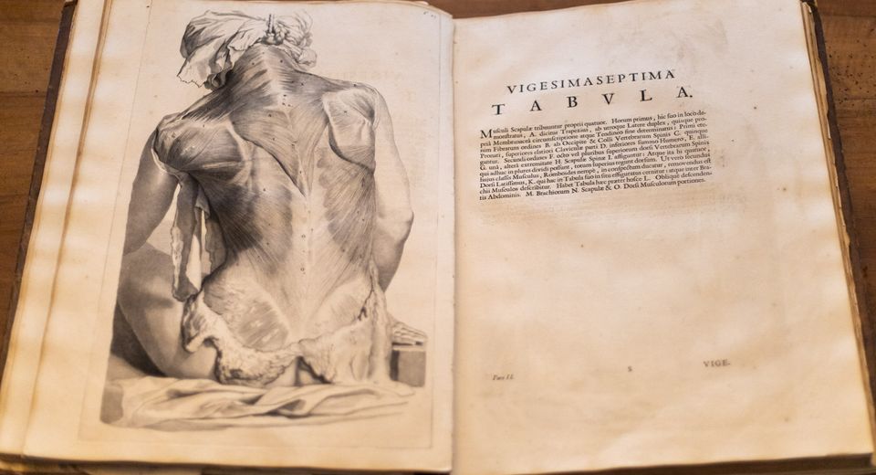 A photo of an open book with a drawing of a human back and Latin text,