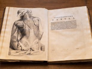 A photo of an open book with a drawing of a human back and Latin text,