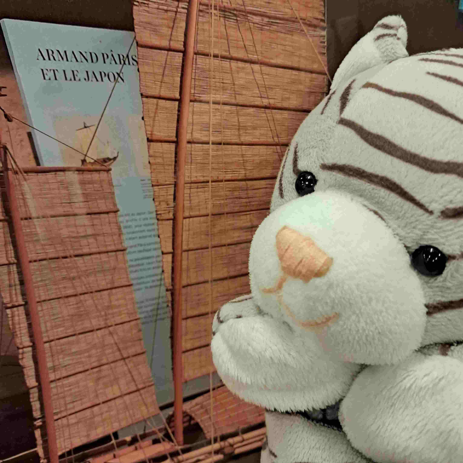 Visite-Atelier 3-6 ans - Le bateau de Gaspard le chat