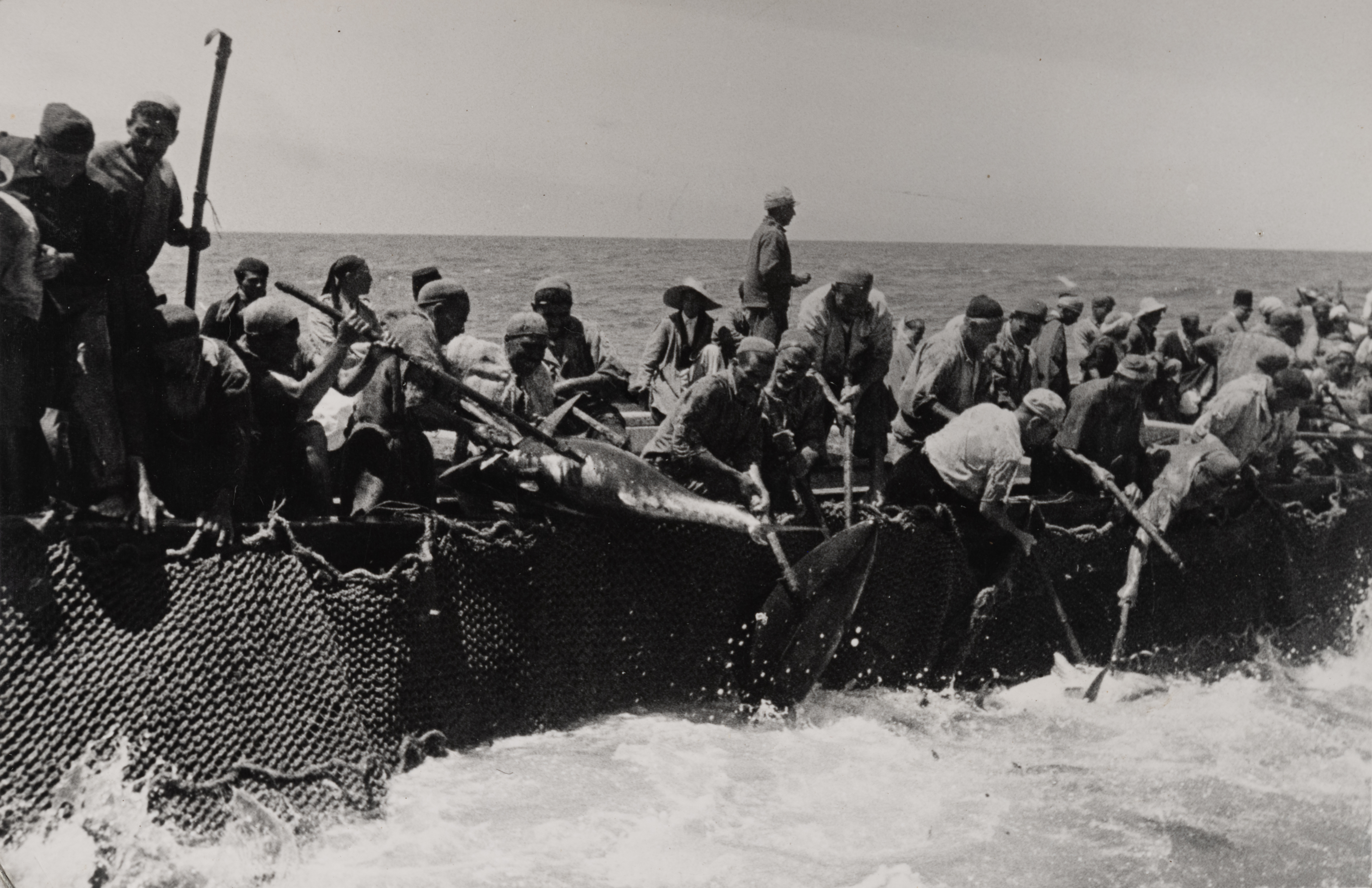 Appât De Pêche Vintage En Menton Joint Rebelle Dans Sa Boîte (la Boîte